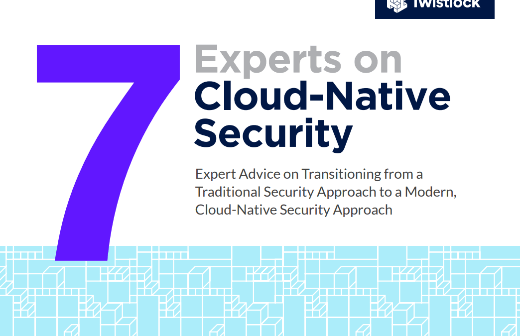 Twistlock: 7 Experts on Cloud-Native Security