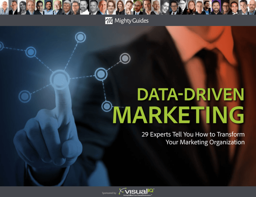 Visual IQ: Data-Driven Marketing