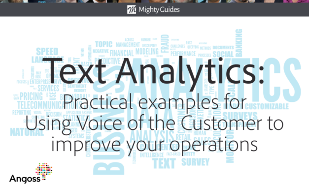 Angoss: Text Analytics – Practical Examples for Using Voice of the Customer to Improve Your Operations