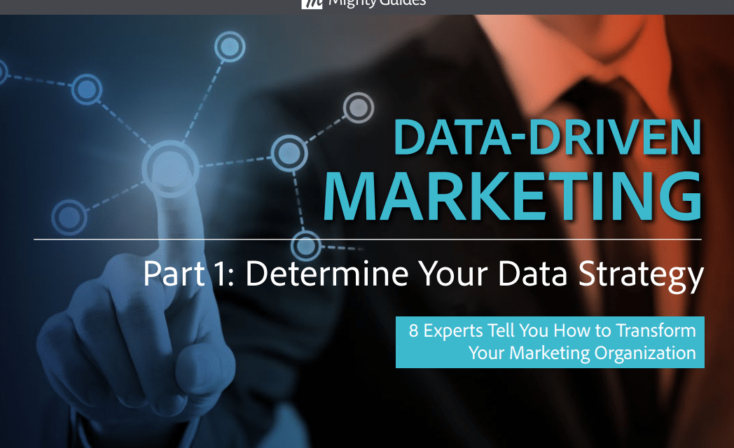 Visual IQ: Data-Driven Marketing – Determine Your Data Strategy