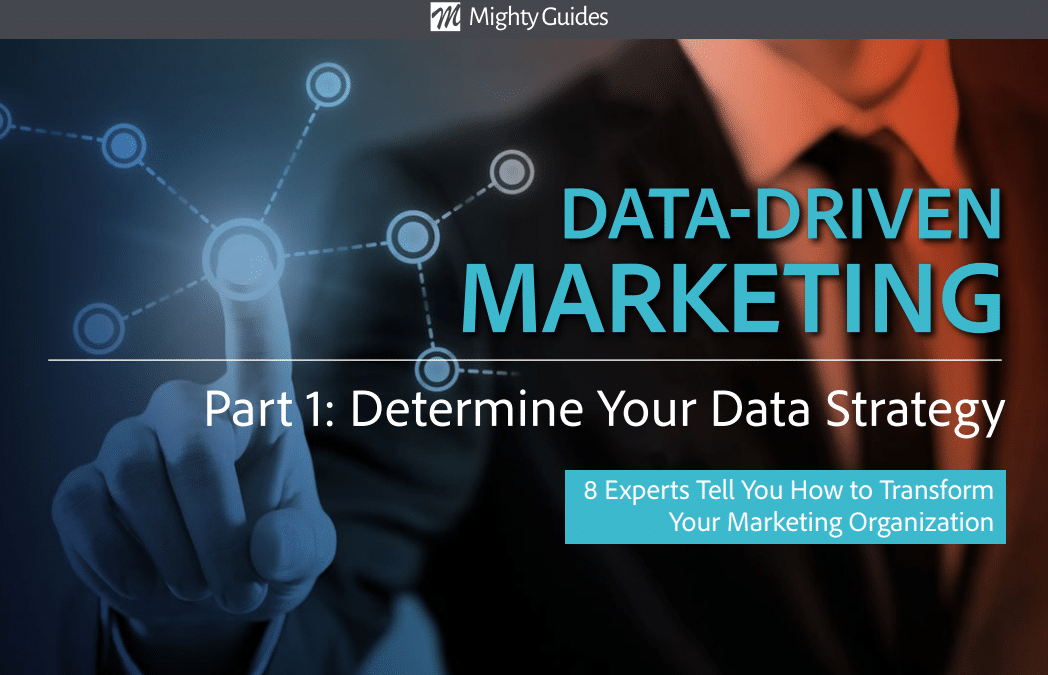 Visual IQ: Data-Driven Marketing – Determine Your Data Strategy