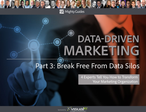 Visual IQ: Data-Driven Marketing – Break Free From Data Silos