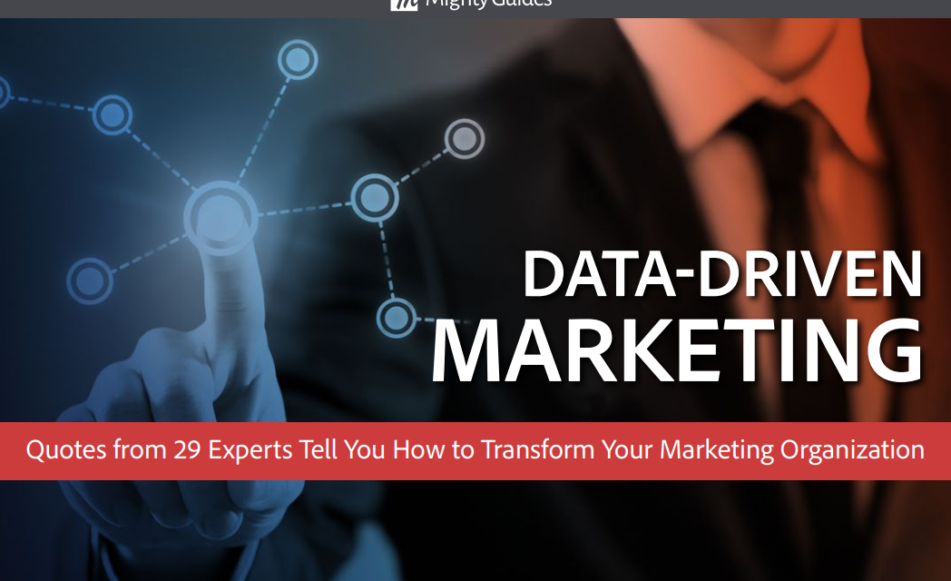 Visual IQ: Data-Driven Marketing – Quotes from the Experts