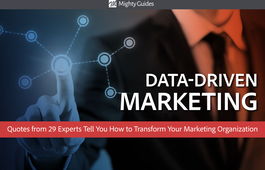 Visual IQ: Data-Driven Marketing – Quotes from the Experts