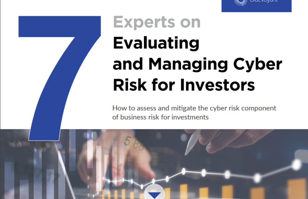 BlueVoyant: 7 Experts on Evaluating and Managing Cyber Risk for Investors