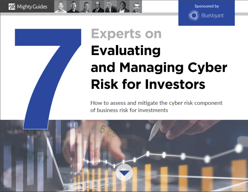 7 Experts on Evaluating and Managing Cyber Risk for Investors