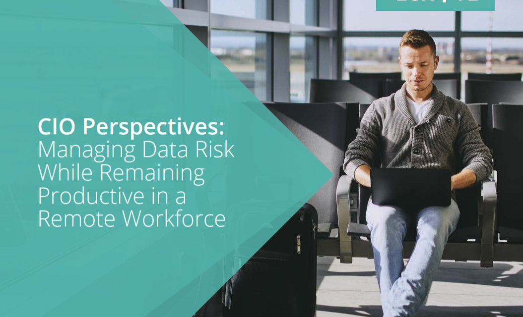 Egnyte: CIO Perspectives- Managing Data Risk While Remaining Productive in a Remote Workforce