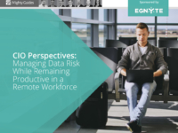 CIO Perspectives. Managing Data Risk While Remaining Productive in a Remote Workforce